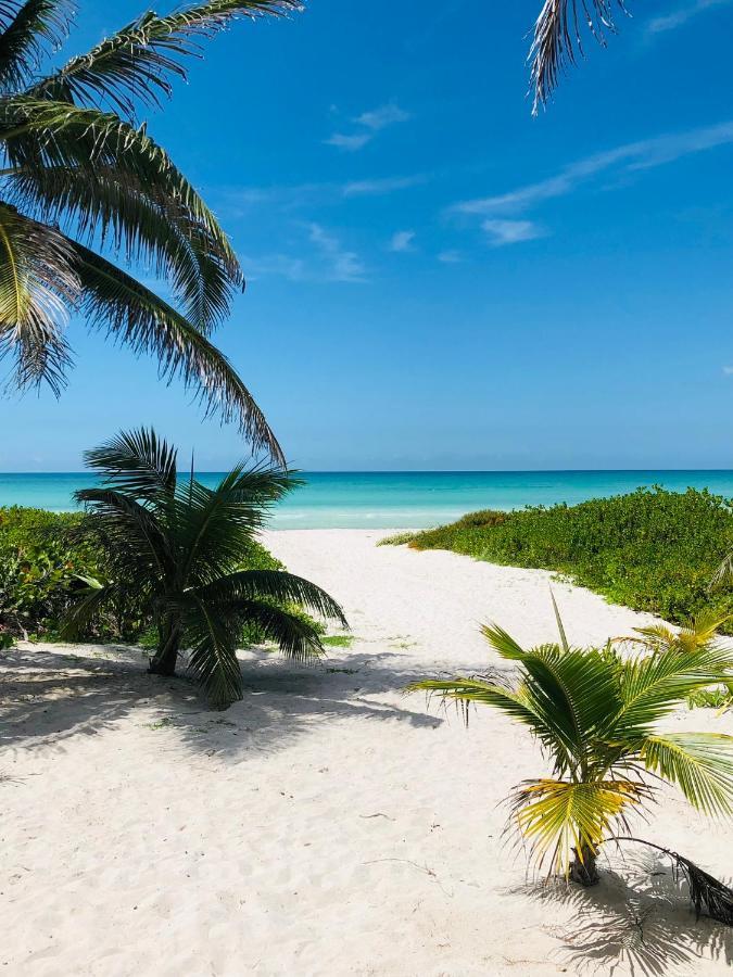 Cabaña Tortuga a Unos Pasos de La Playa Apartamento El Cuyo Exterior foto